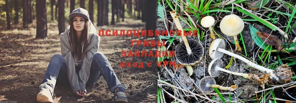 круглые Волосово