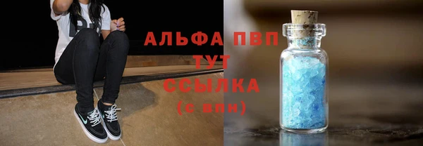 стаф Волоколамск
