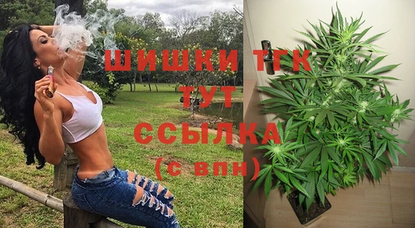 стаф Волоколамск
