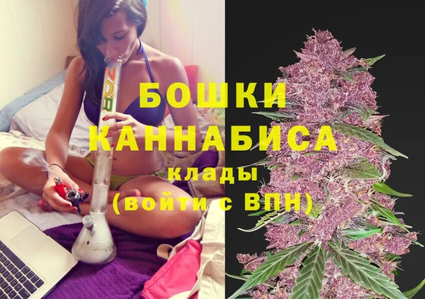 гашик Володарск
