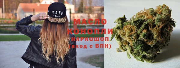гашик Володарск